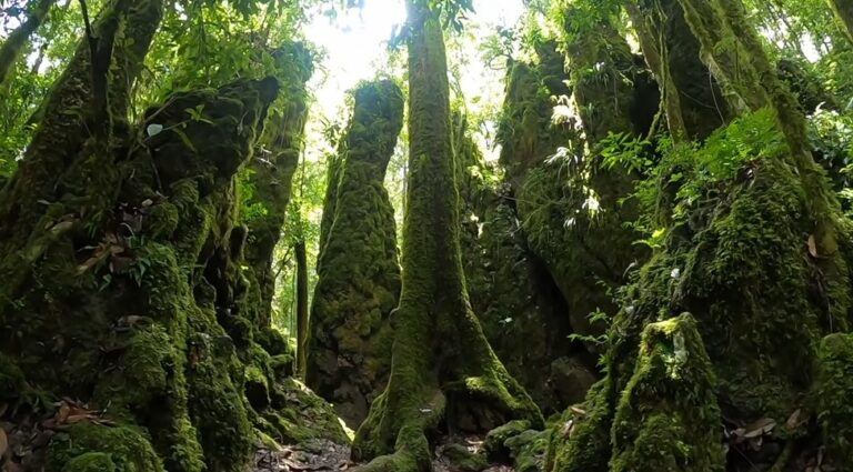 Biósfera Cielo Tamaulipas