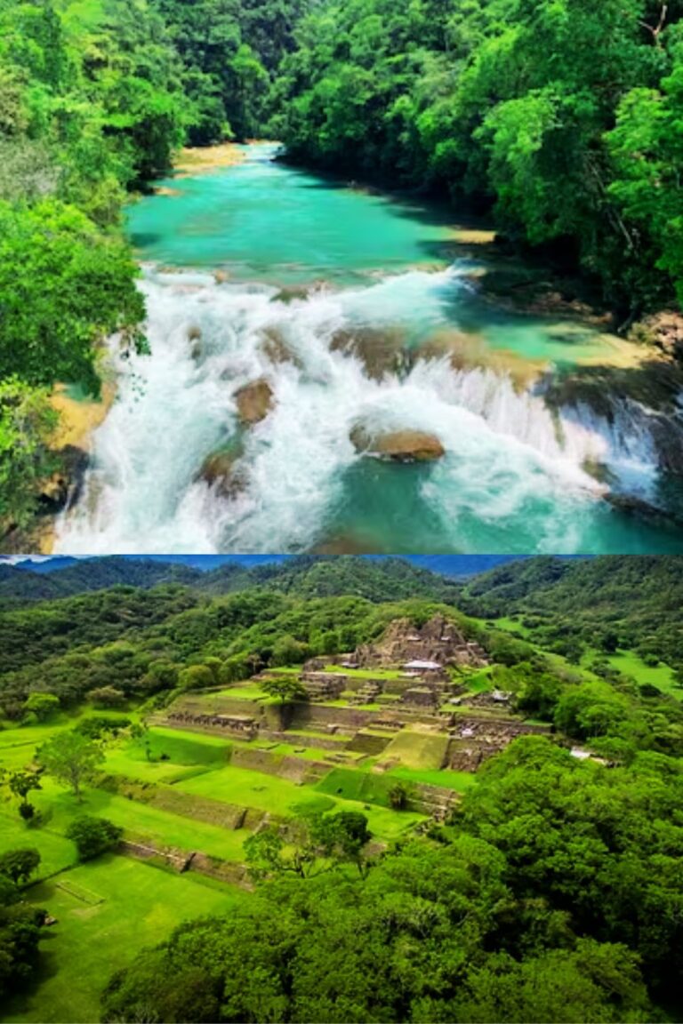 Selvas de México -Selva lacandona México